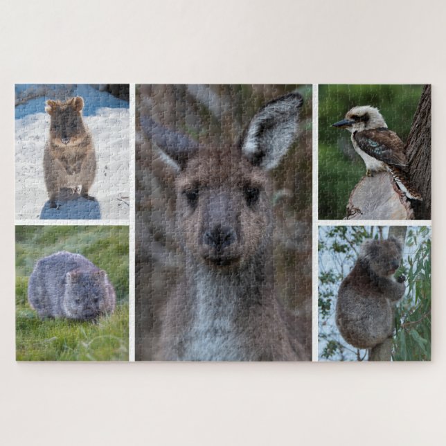 Quebra-cabeça 5 em 1 Animais da Austrália, 1014 pedaços (Horizontal)