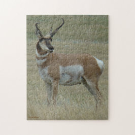 Quebra-cabeça A37 Antilope Pronghorn Chifres Tortos