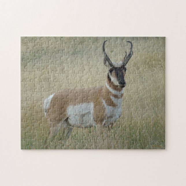 Quebra-cabeça A8 Pronghorn Antelope Big Buck (Horizontal)
