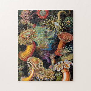 Quebra-cabeça A Arte da Natureza por Ernst Haeckel