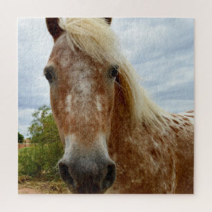 Quebra-cabeça "A Carona de Açúcar: A Graça de Appaloosa"