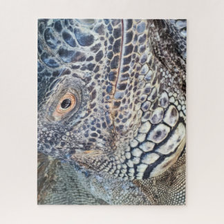 Quebra-cabeça A close up head of a green iguana. Challenging