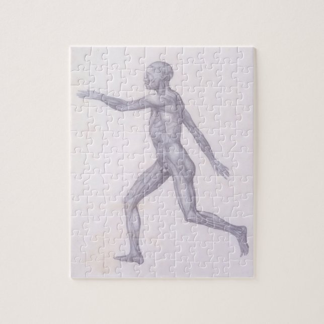 Quebra-cabeça A figura humana, vista lateral, da série 'A (Vertical)