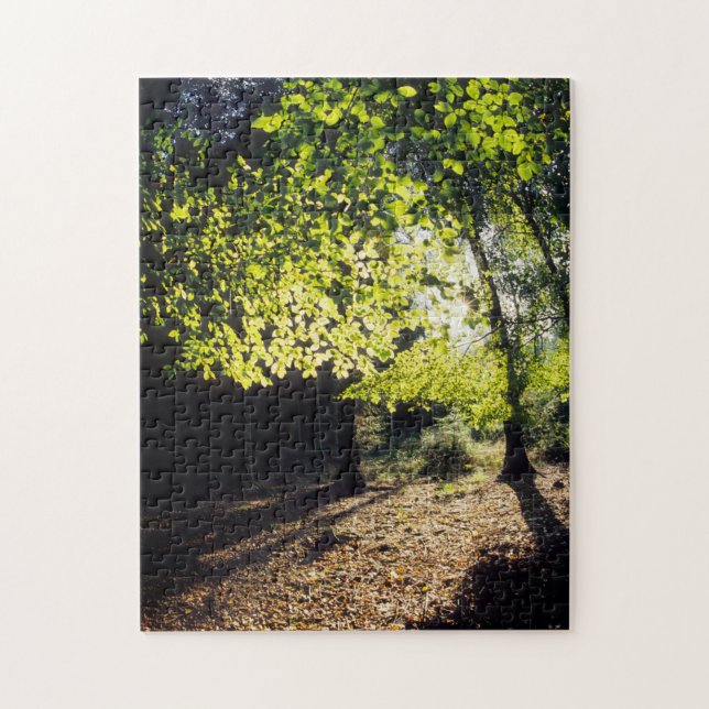 Quebra-cabeça A floresta na Primavera (Vertical)
