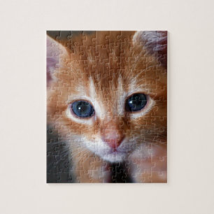 Quebra-cabeça A laranja é o gato novo