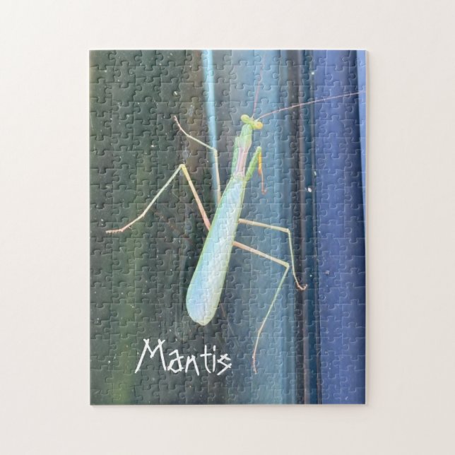 Quebra-cabeça A Mantis (Vertical)