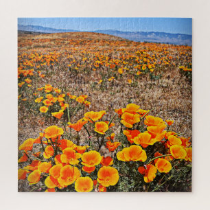 Quebra-cabeça A papoila de Califórnia coloca - flores - 20x20 -