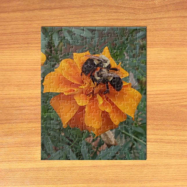 Quebra-cabeça Abejas en Flor de Marigold (Bumblebees on Marigold Flower Jigsaw Puzzle on Table)