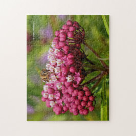 Quebra-cabeça Abelha de mel em NarroKnoaf Milkweed