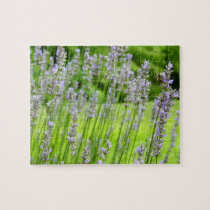 Quebra-cabeça Abelha na Floral de Verão da Lavanda