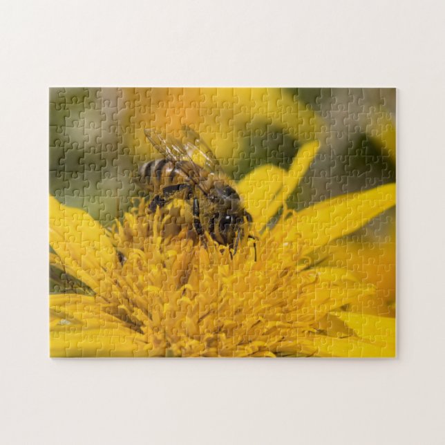 Quebra-cabeça Abelhas Africanas Com Sacos De Pólen Alimentando-S (Horizontal)