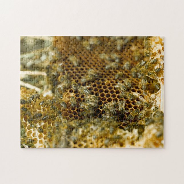 Quebra-cabeça Abelhas Em Colmeia, Cabo Ocidental, África Do Sul (Horizontal)