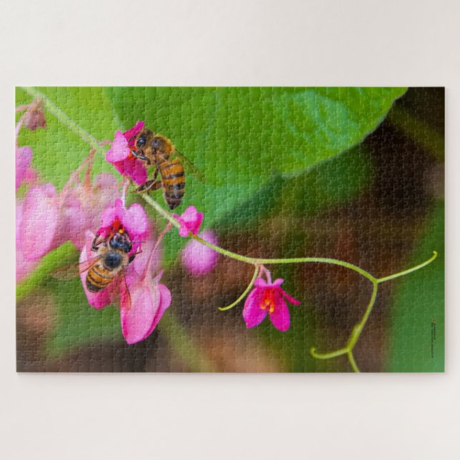 Quebra-cabeça Abelhas Em Flores De Vinha Coral Fotografia (Horizontal)