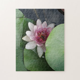 Quebra-cabeça Abra a foto da flor de Lotus