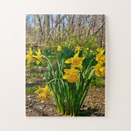 Quebra-cabeça Abraço Dourado | Flor de Narciso na Primavera