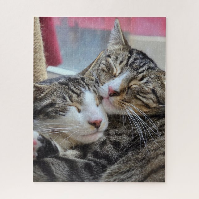 Quebra-cabeça Abraços de gatinho! (Vertical)