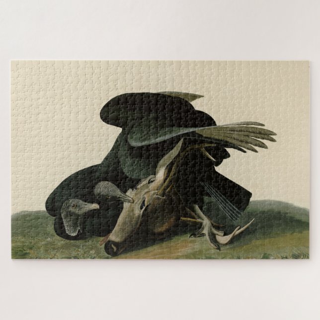 Quebra-cabeça Abutre Negro, das Aves da América de Audubon (Horizontal)