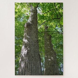 Quebra-cabeça acima de 1.000 peças, Árvores de Tor