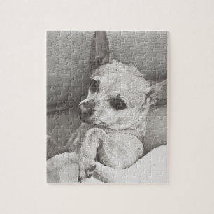 Quebra-cabeça acolhedor da chihuahua