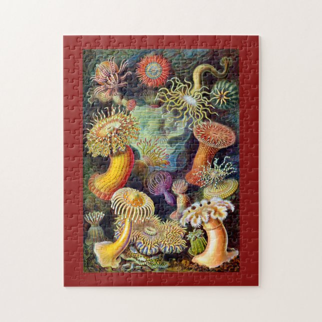 Quebra-cabeça Actiniae por Ernst Haeckel (Vertical)