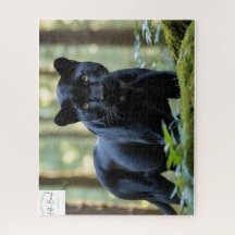 Adda_Bouch cheetah Puzzle