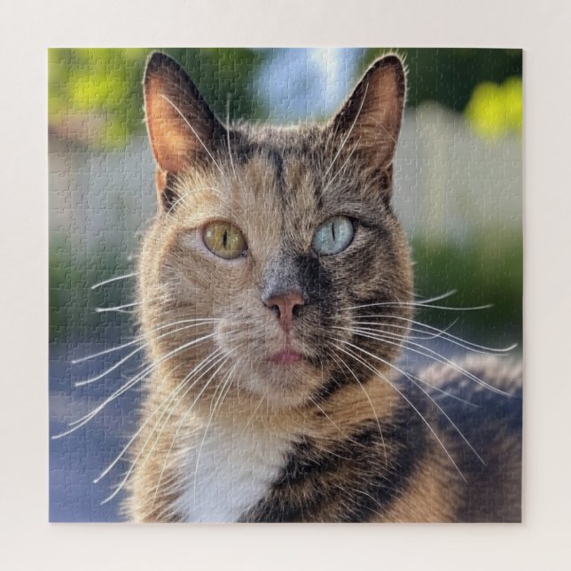 Quebra-cabeça Adicionar Personalização de Foto de Cat (Vertical)