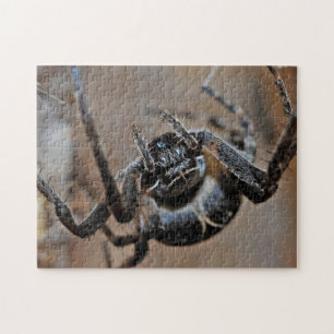 Quebra-cabeça Adorable Arachnid Spider Macro Photo Puzzle