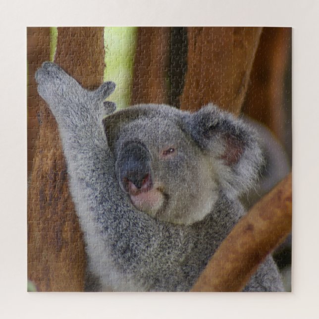 Quebra-cabeça Adorable Koala Bear (Vertical)