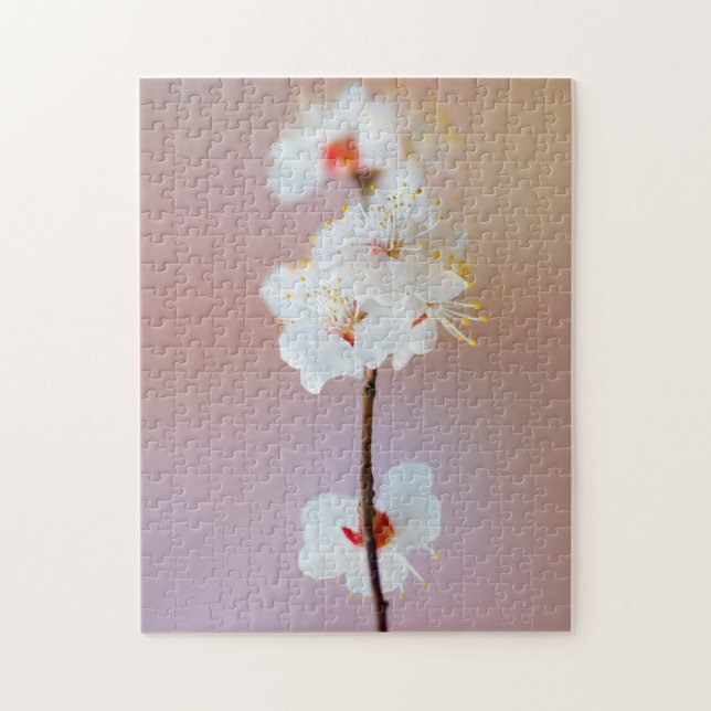 Quebra-cabeça Adoráveis Flores de Ume Japonês na Primavera (Vertical)