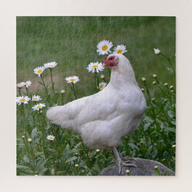 Quebra-cabeça Adorável frango e margarida (Vertical)