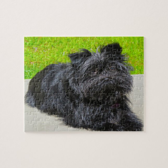 Quebra-cabeça Affenpinscher Purebred Dog. (Horizontal)
