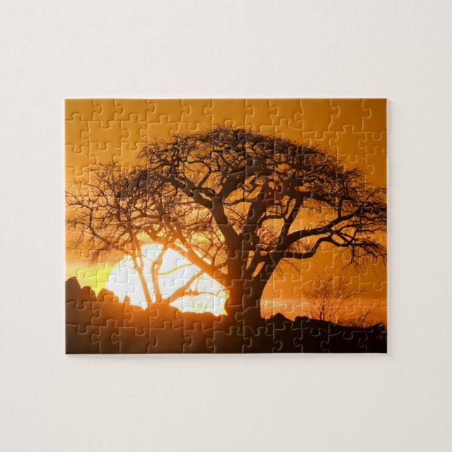 Quebra-cabeça África, Botsuana, Sol poente silhueta Baobab (Horizontal)
