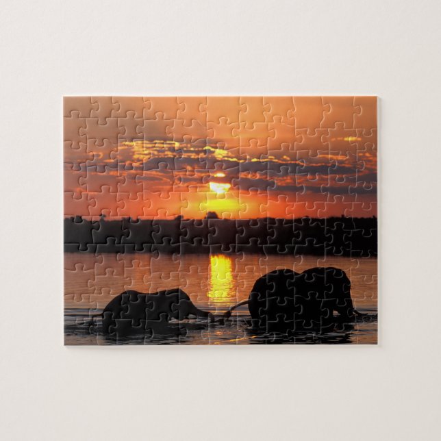 Quebra-cabeça África, Botswana, Chobe National Park, Herd (Horizontal)