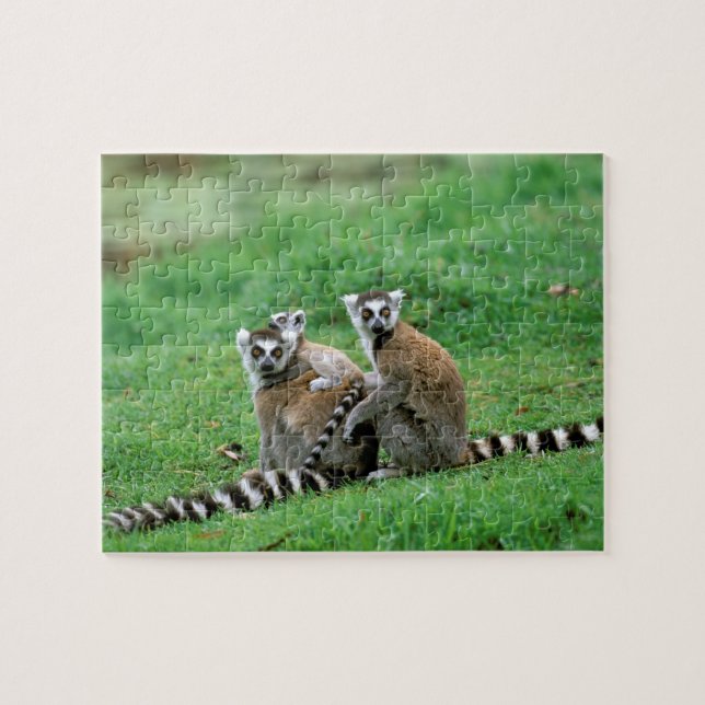 Quebra-cabeça África, Madagáscar, Antananarivo, Tsimbaza (Horizontal)