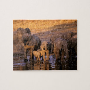 Quebra-cabeça África, Quênia, Masai Mara. Elefantes (Loxodonta