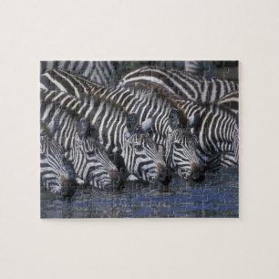 Quebra-cabeça África, Quênia, Reserva de Caça Masai Mara, Planíc