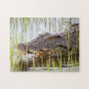 Quebra-cabeça African Crocodile