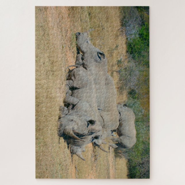 Quebra-cabeça African Rhino Family Resting Puzzle (Vertical)