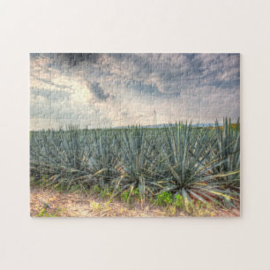 Quebra-cabeça Agave azul