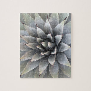 Quebra-cabeça Agave Succult Plant Cactus Green Sage Jigsen Puz