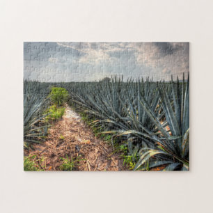 Quebra-cabeça Agave Tequilana