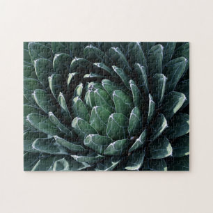 Quebra-cabeça Agave verde