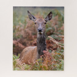 Quebra-cabeça Agora Você Tem Minha Atenção - 16x20 - 520 peças