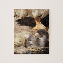 Quebra-cabeça agricultura, animais, arte, bebê, bico, pássaro,