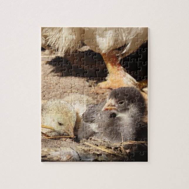 Quebra-cabeça agricultura, animais, arte, bebê, bico, pássaro, (Vertical)