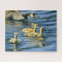 “Agrupamento de Goslings”