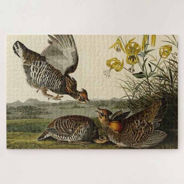 Quebra-cabeça Agrupamento Pinado (Grous) - Aves da América da Au (Horizontal)