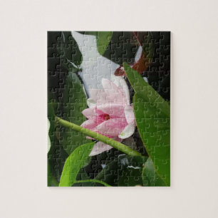 Quebra-cabeça Água floral Lilly das flores do rosa da foto