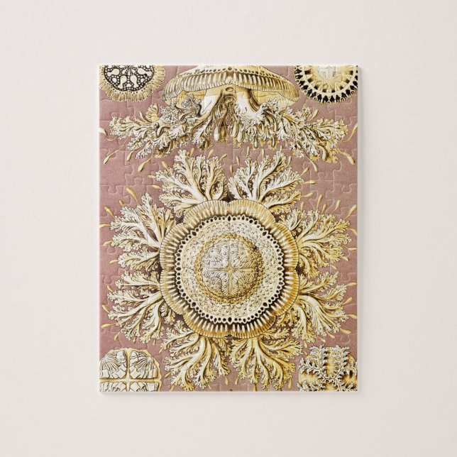 Quebra-cabeça Água-viva, Disco de Ernst Haeckel (Vertical)