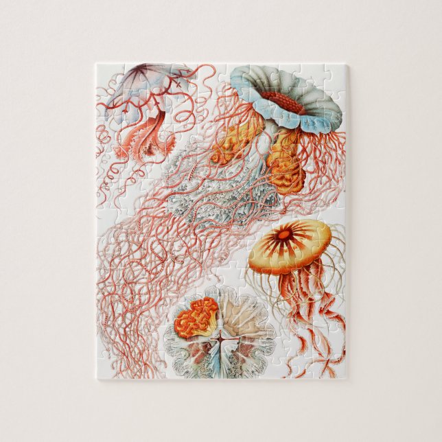 Quebra-cabeça Água-viva, Disco de Ernst Haeckel (Vertical)